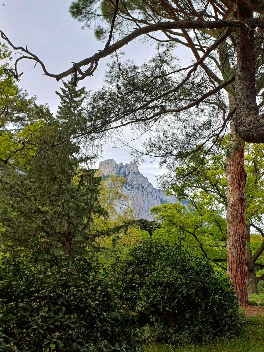 Заповедник. Фото автора. 