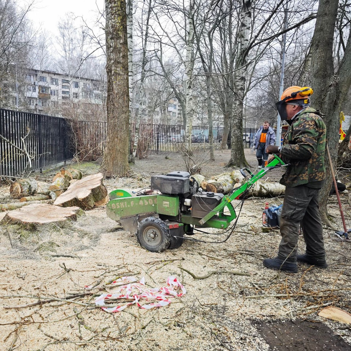 Фрезерование пней