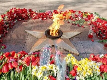 Из открытых источников интернета 