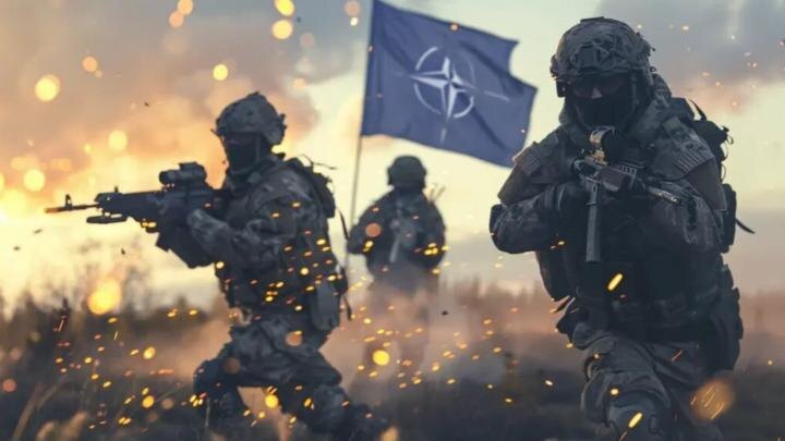 Коллаж: Novorosinform