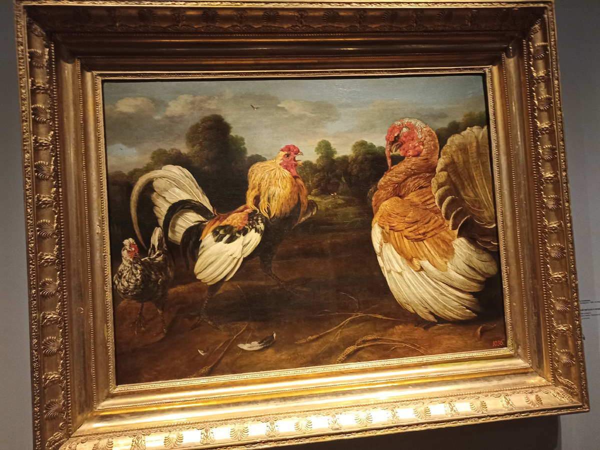 Бой петуха с индюком. Франс Снейдерс