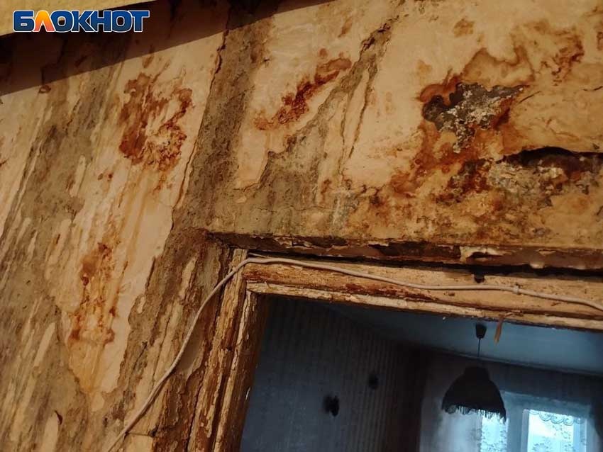 Фото: «Блокнот Донецк»