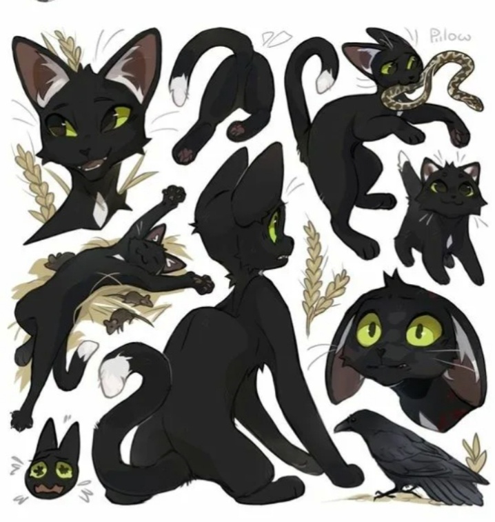 Ну милашкарр