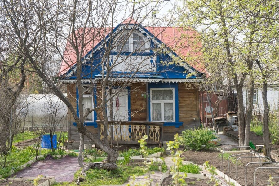 яндекс картинки