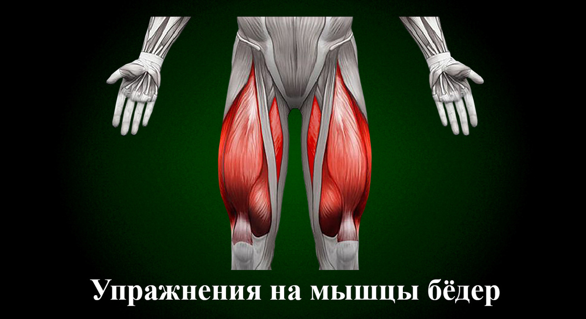 Упражнения на мышцы бёдер