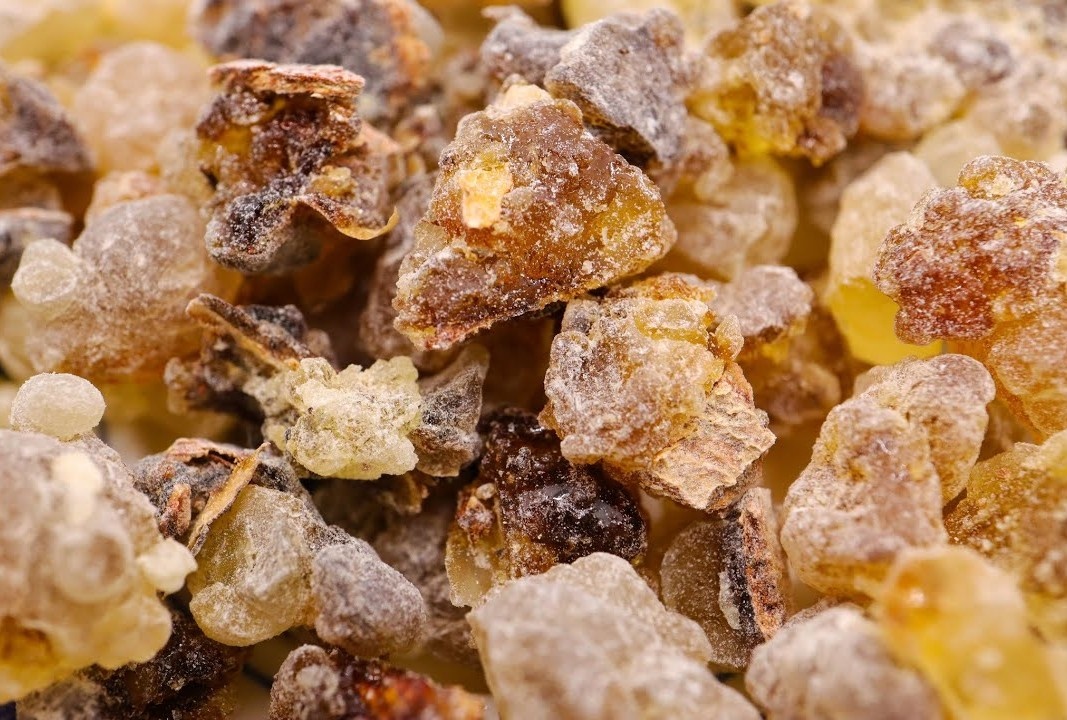 Смола ладана