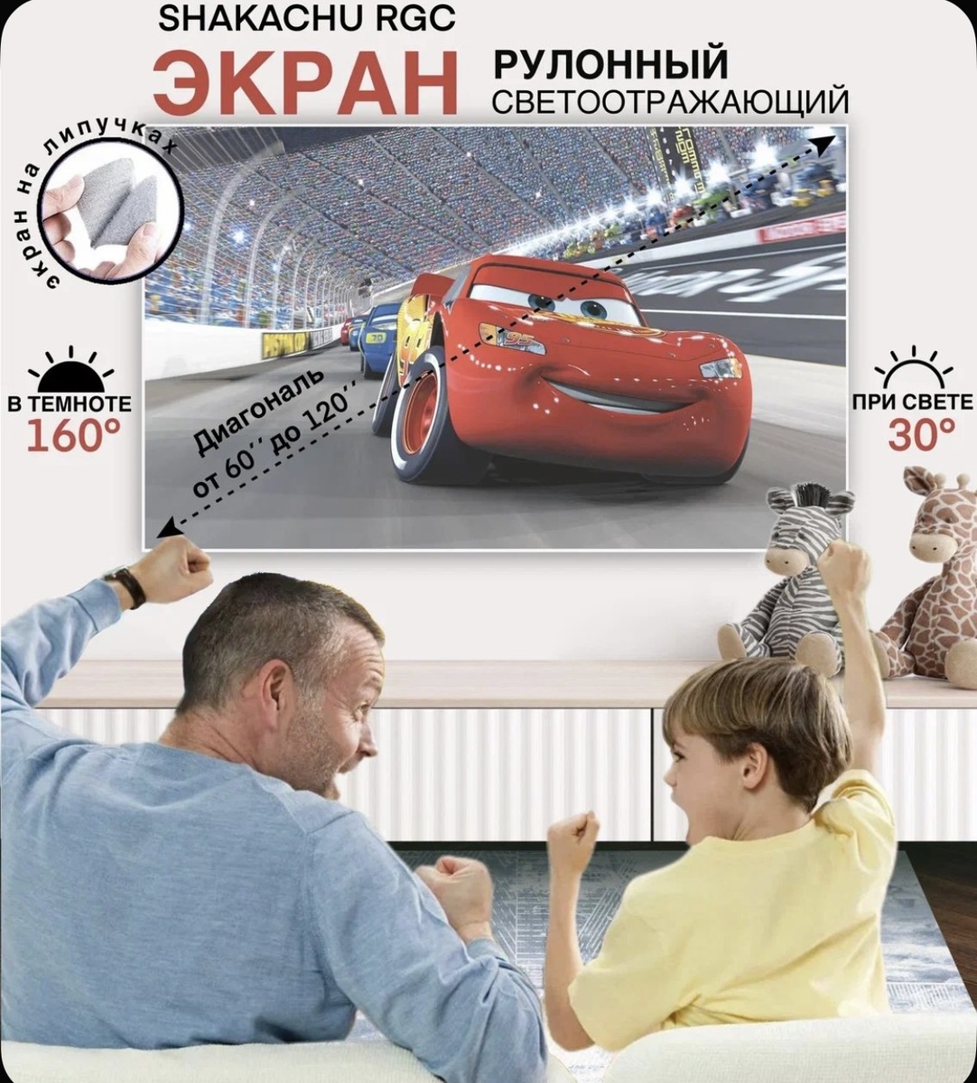 Экран для проектора RGC-R SHAKACHU 