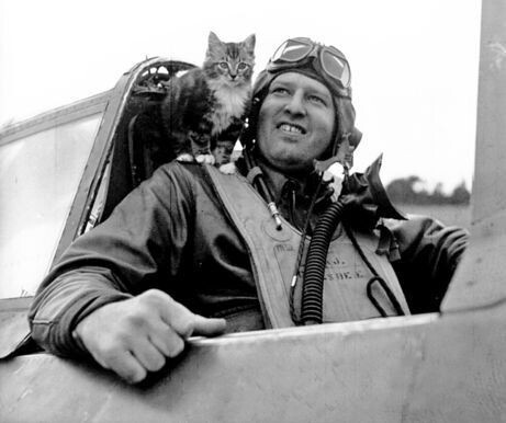 Источник фото: ru.pinterest.com