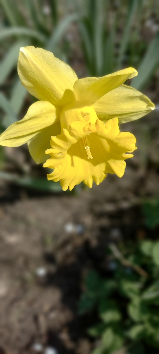 Какие они разные!