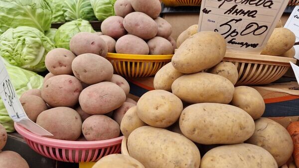    © Sputnik / Александр Жибуль