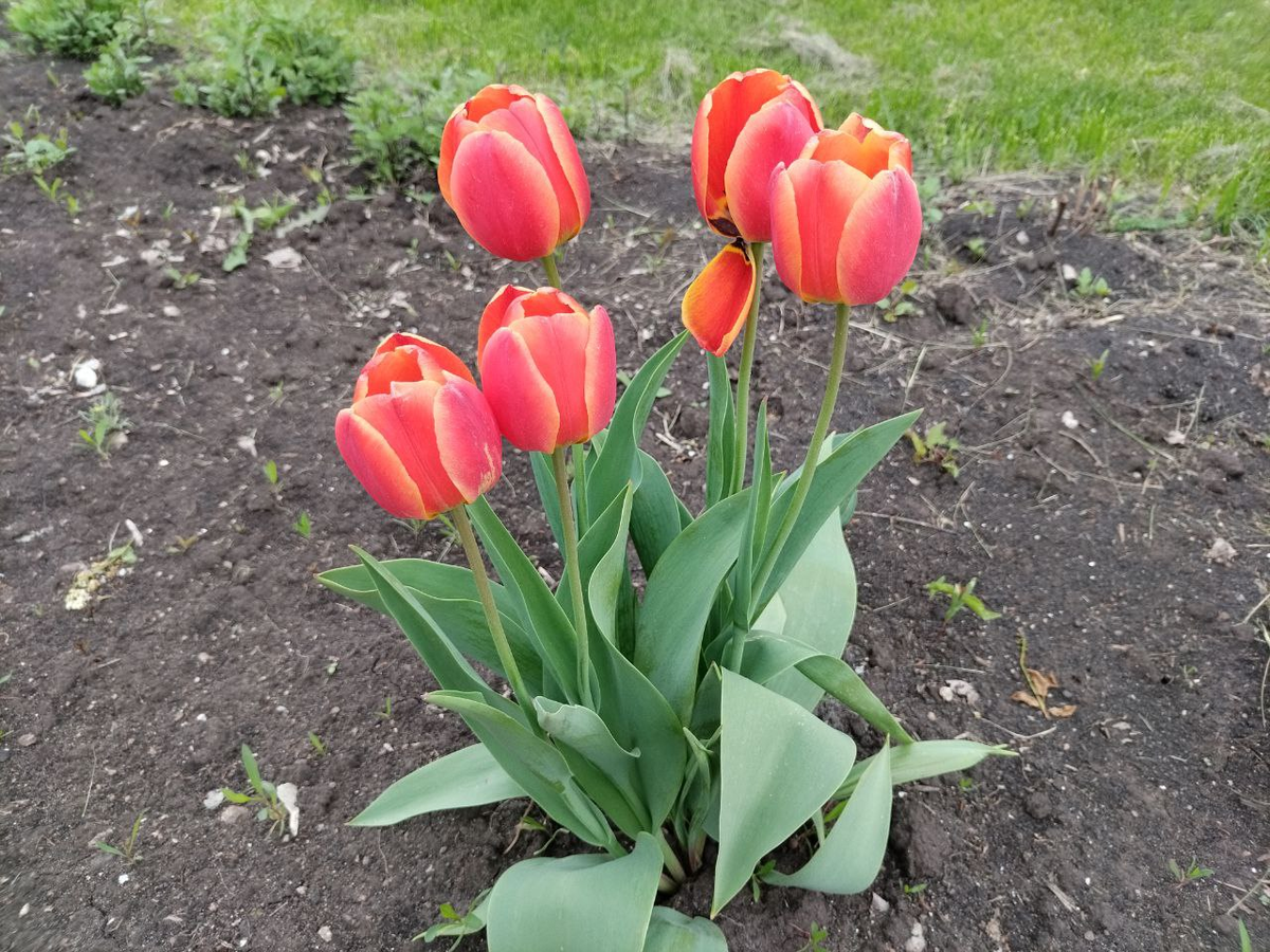 Фото автора.