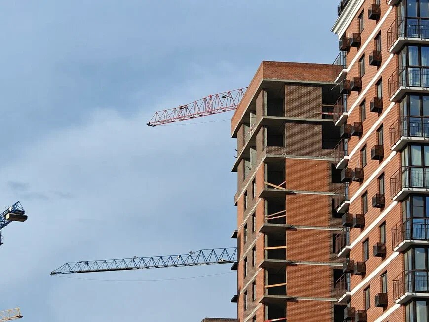    Фото: Юрий Серебренников/BFM Кубань