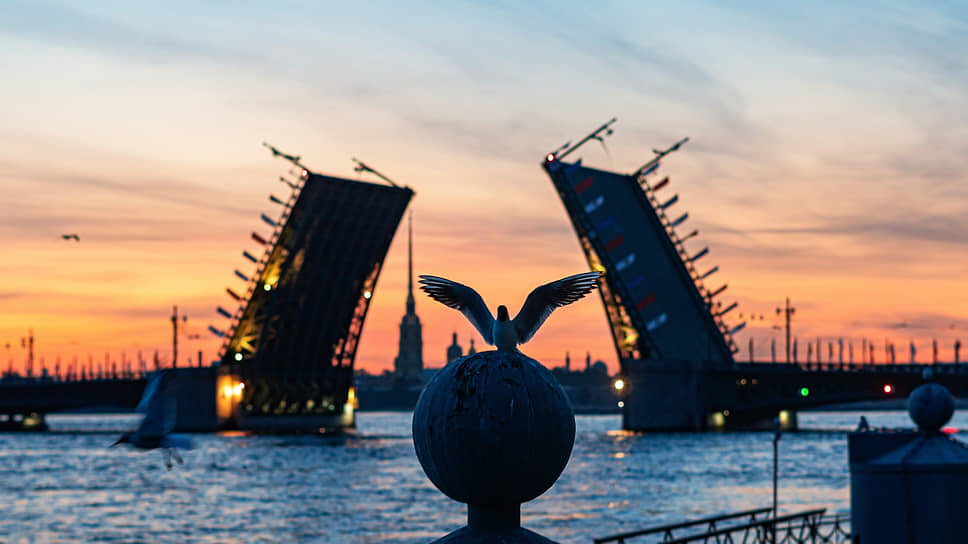 Фото: Игорь Никитин / Коммерсантъ