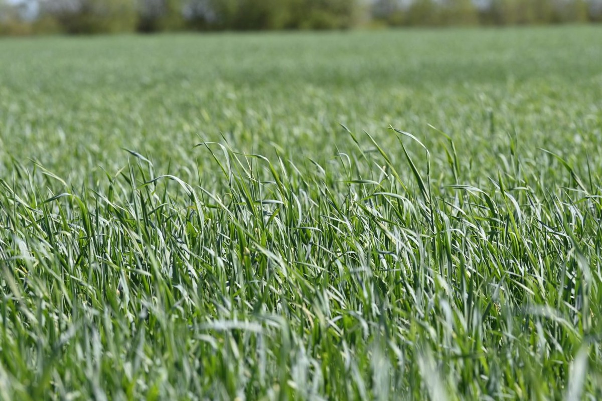    Фото: "Республика" , Сергей Юдин