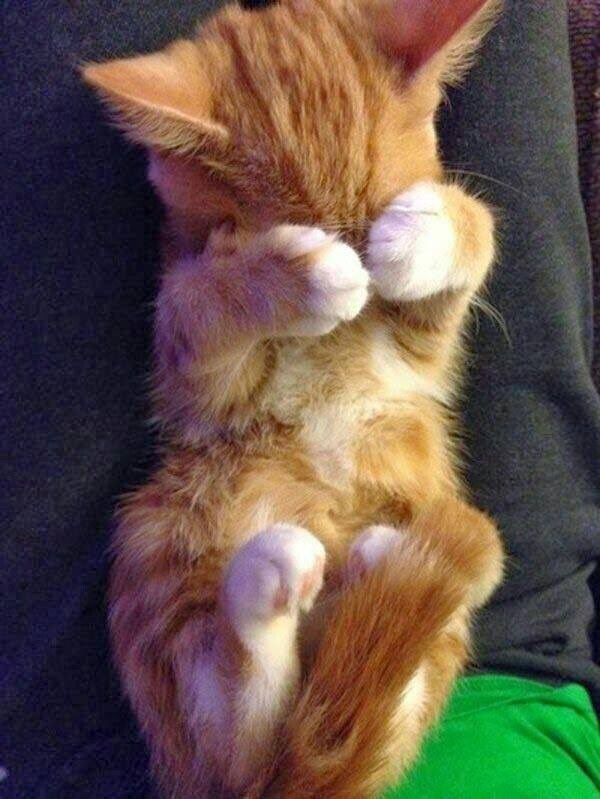 фото из интернета