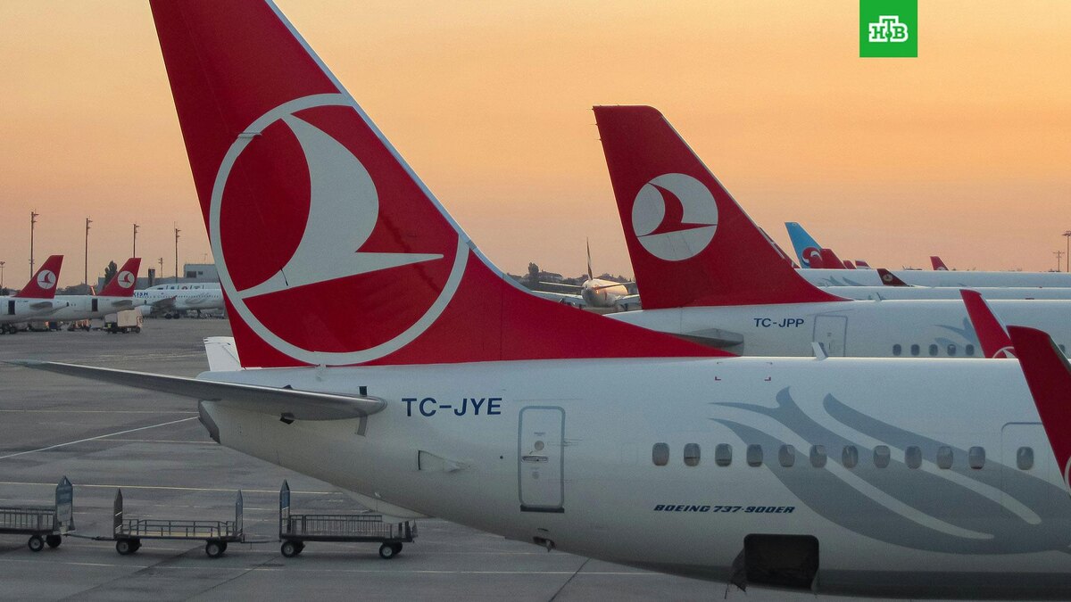    Фото: Alireza Akhlaghi / unsplash.com