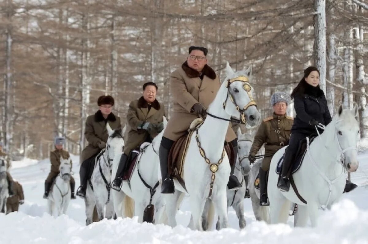    Здесь, среди яблоневых садов и бескрайних полей, выращивают лошадей для... кавалерийского полка главы КНДР Ким Чен Ына.