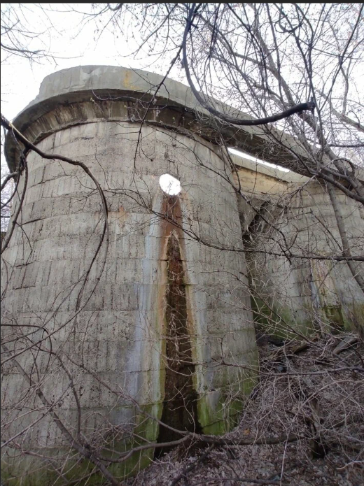 Снимок взят из интернета, поскольку объект полностью скрыт под зарослями кустарника и травы, и у меня не было возможности сделать снимок, охватывающий весь объект целиком.