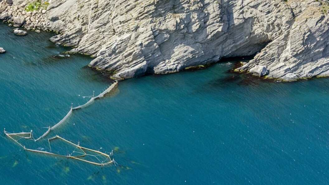    © Serguei Fomine/Globallookpress