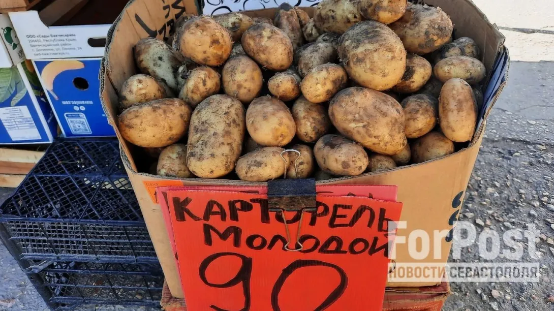 Фото:
Татьяна Воробьева / ForPost