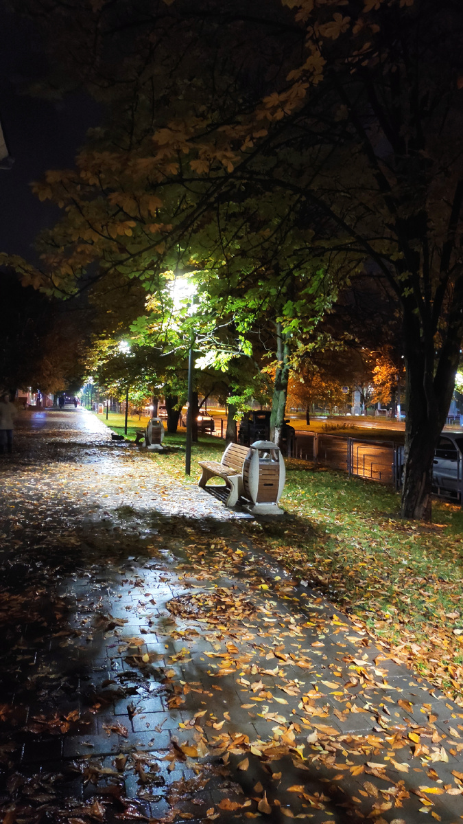 Каштановая аллея в октябре, ул. Им. Г. Титова, Волгоград (Краснооктябрьский район) 