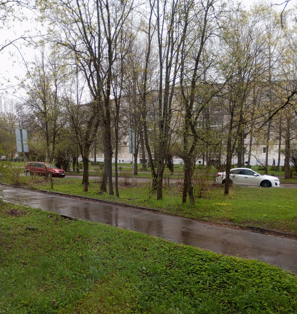 Фото автора. 