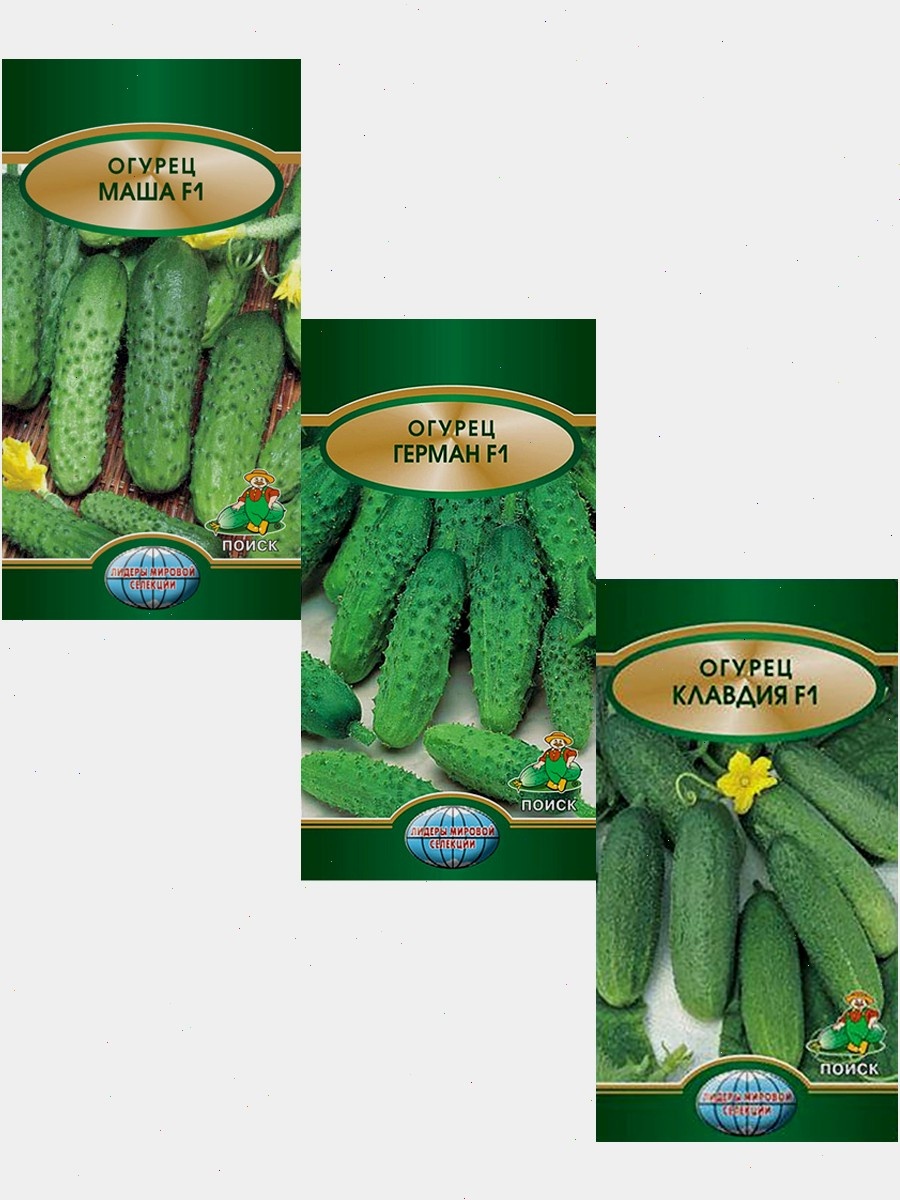 Гибридные сорта огурцов Атлет F1, Герман F1 и Маша F1 — устойчивость к корневым гнилям