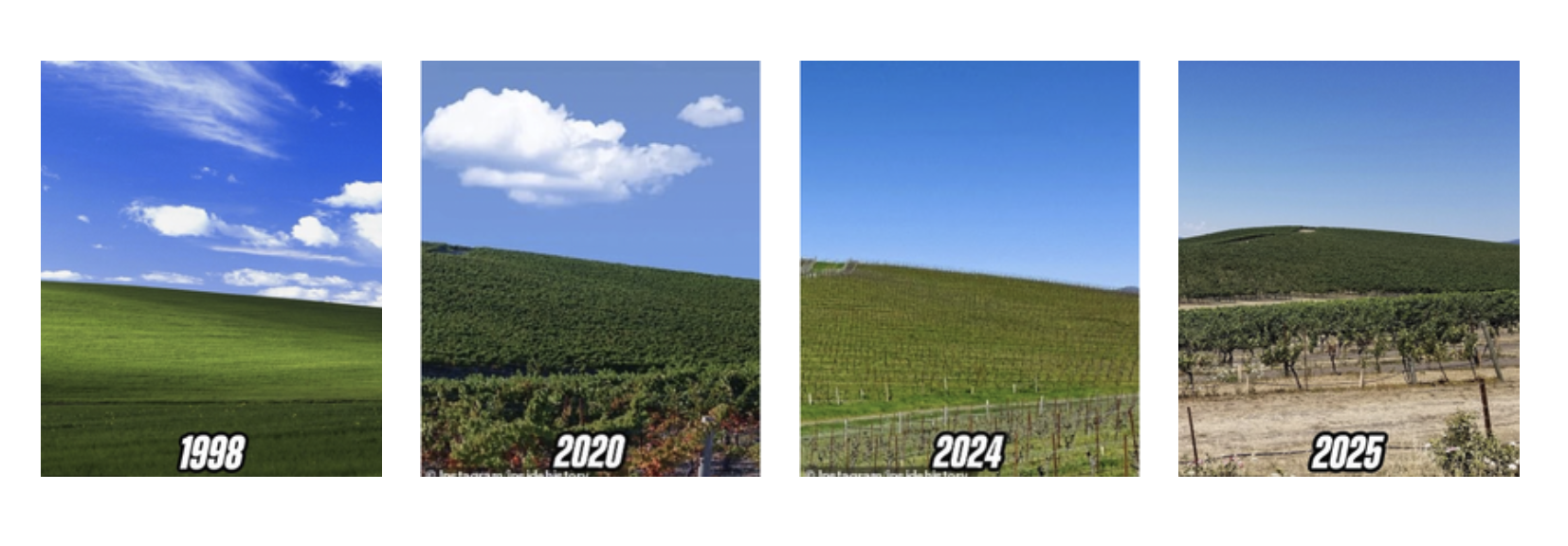 scale_2400