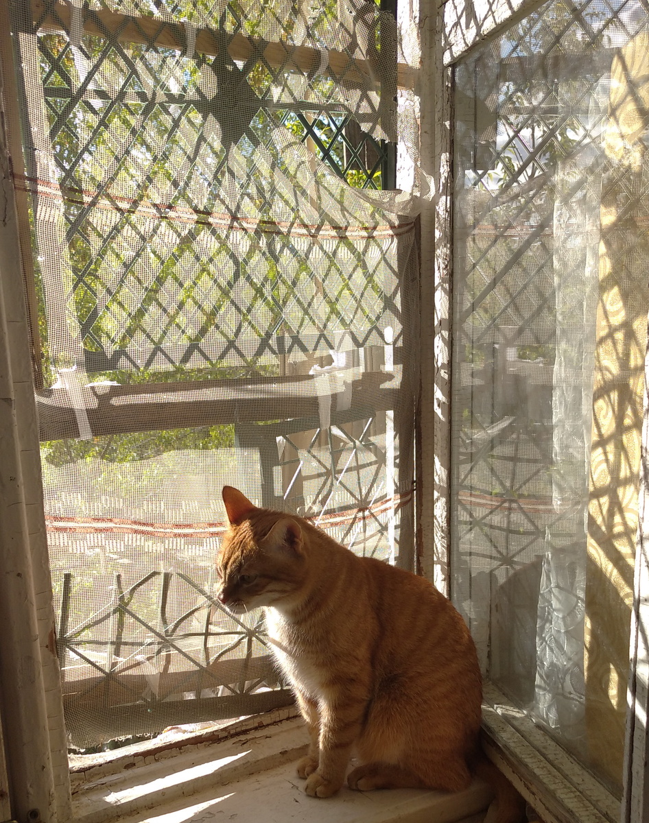 Личное фото.  