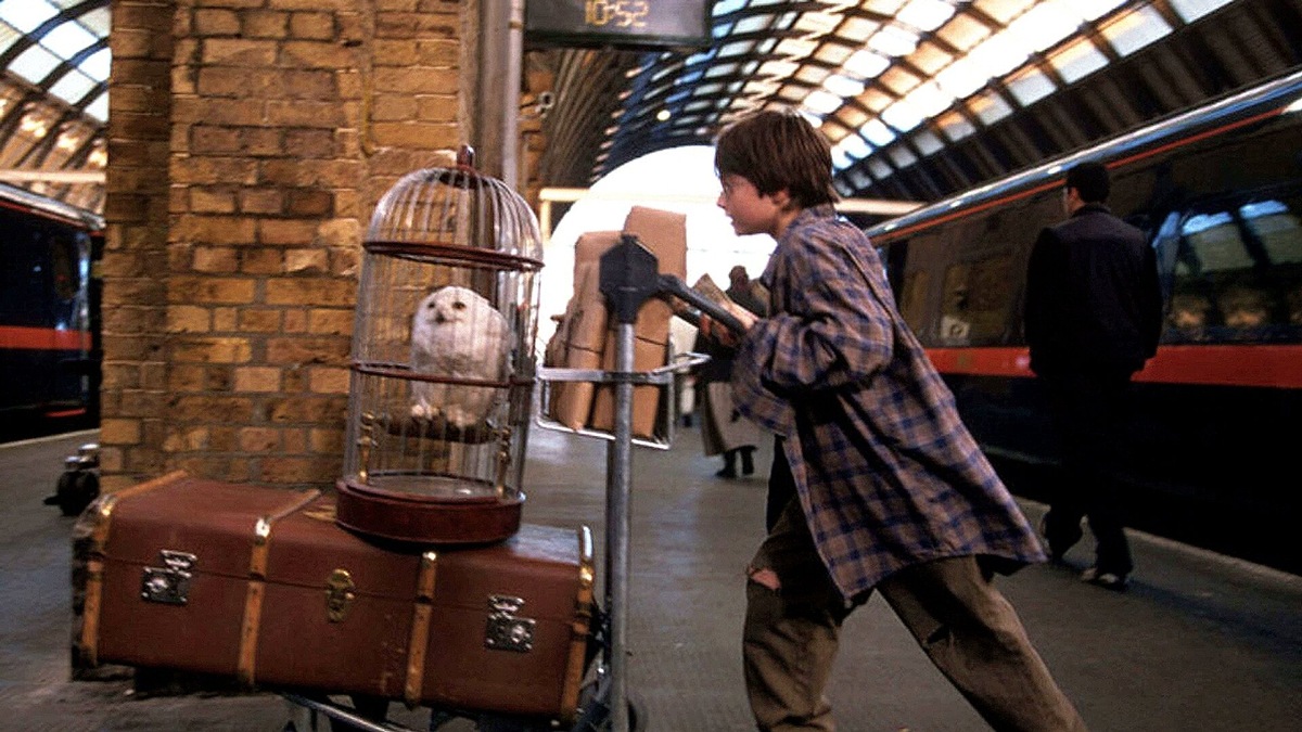 Букля, опять переезжаем...