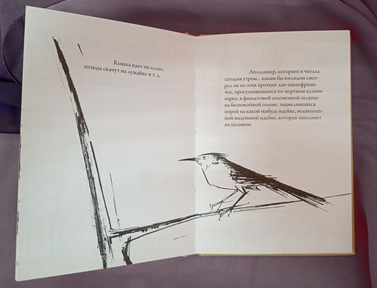 Фотография автора