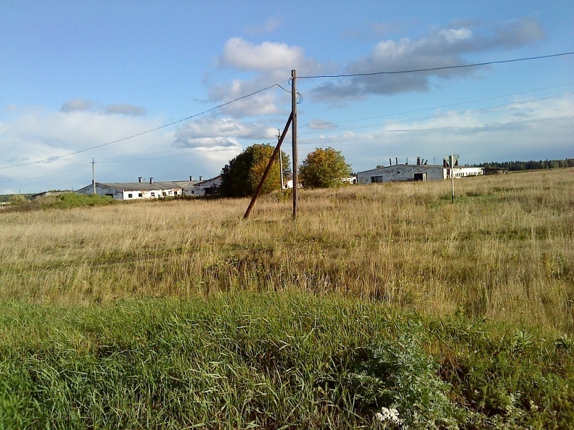 Фото из общего доступа в интернете