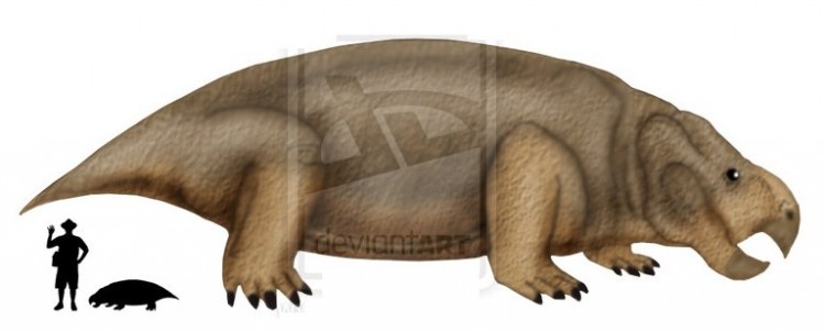 Замбиязавр по сравнению с человеком.