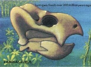 Череп Замбиязавра, иллюстрация.