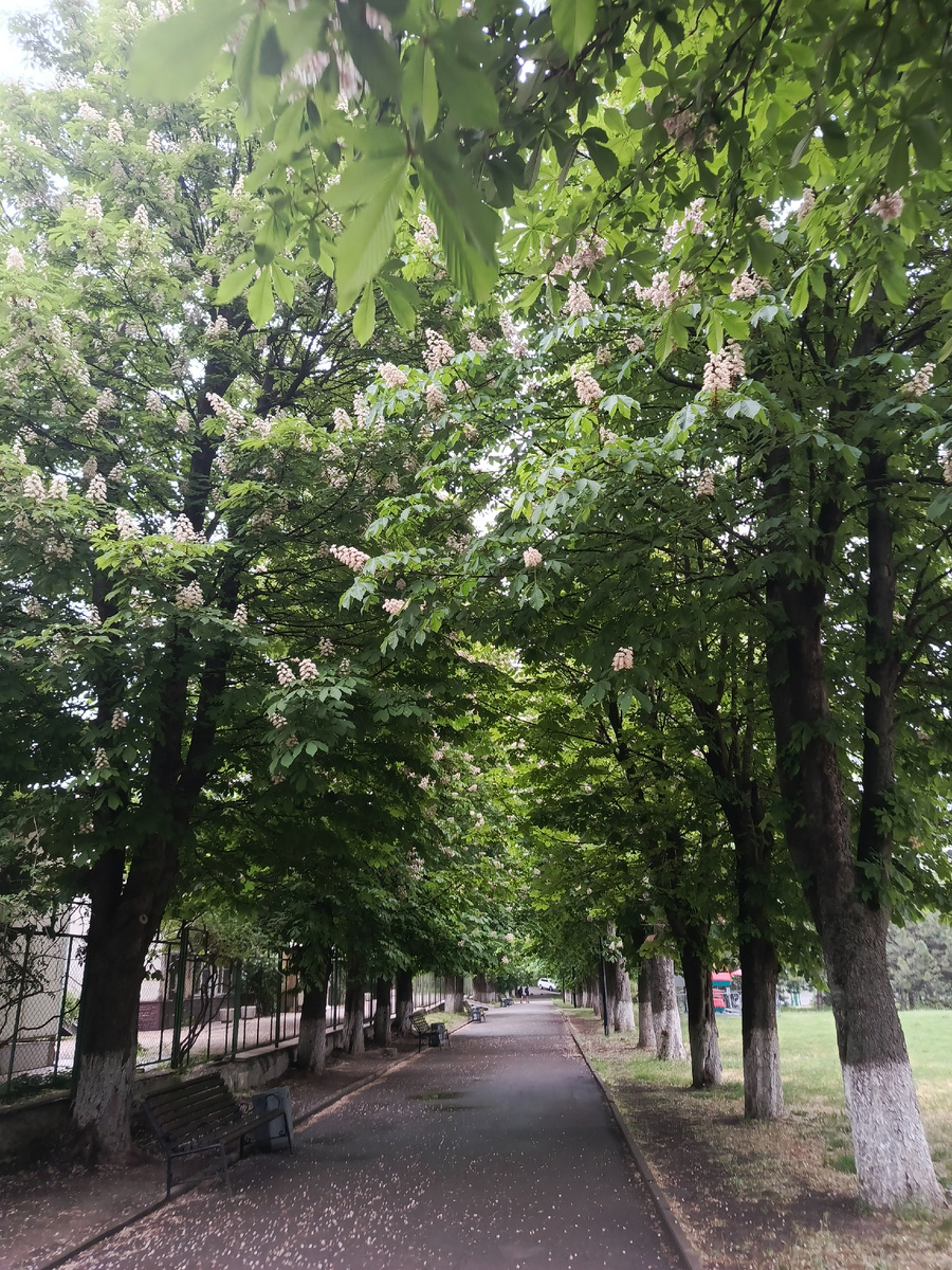 Парк им. Октября