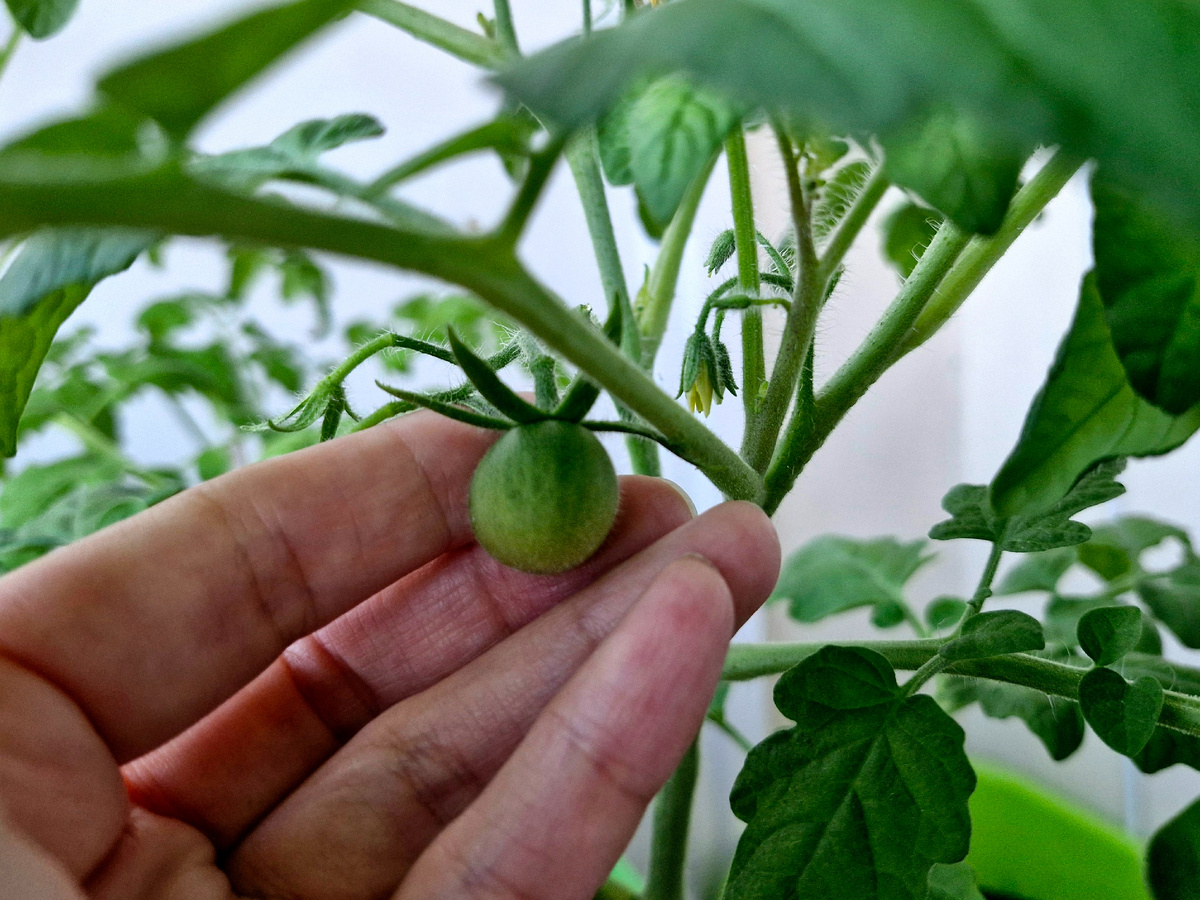 7 мая 2025 года