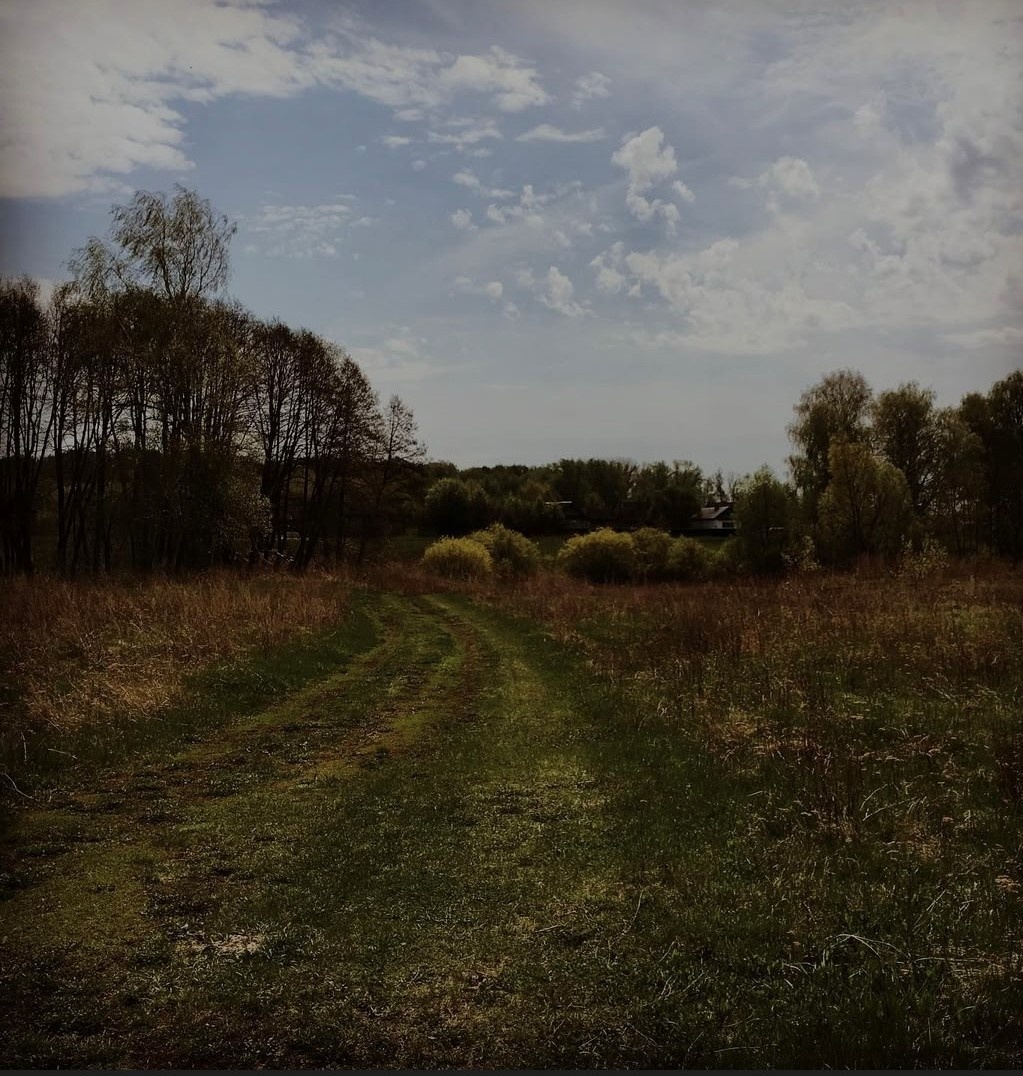 Та самая роща напротив дома в Каранбаше. Фото: мое