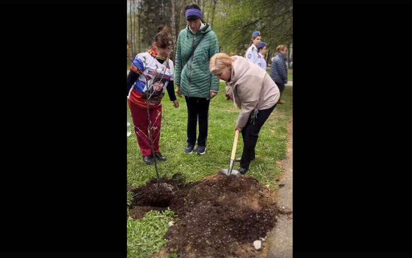    Молодые яблони высадили в память о погибших участниках СВО в парке им. Кирова в Ижевске