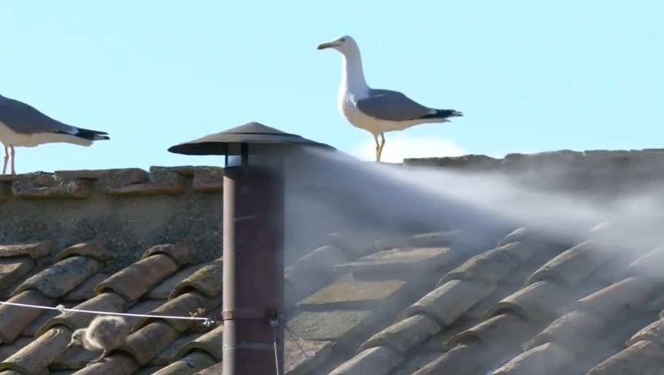    Автор фото: t.me/izvestia