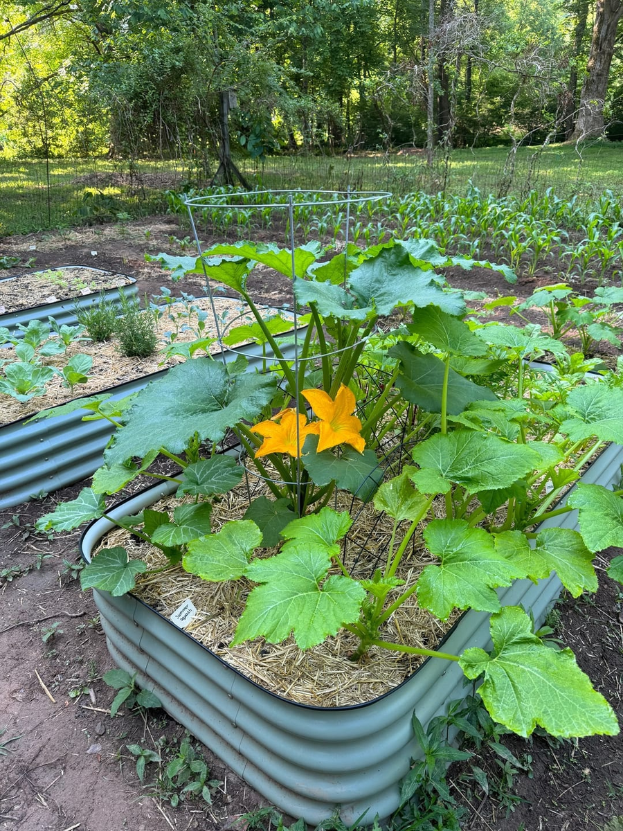 Высокие грядки MILLS от ГРЯДА