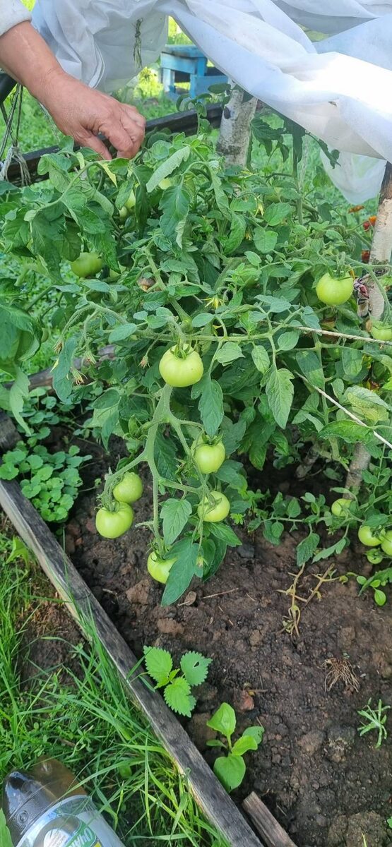 Фото архив автора 