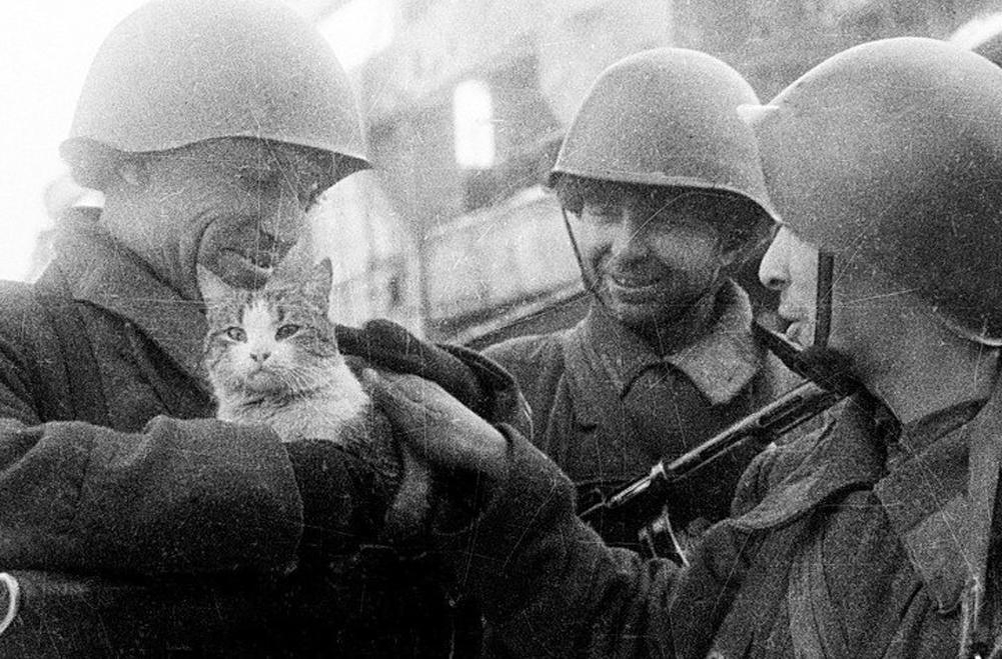  Фото из открытых источников