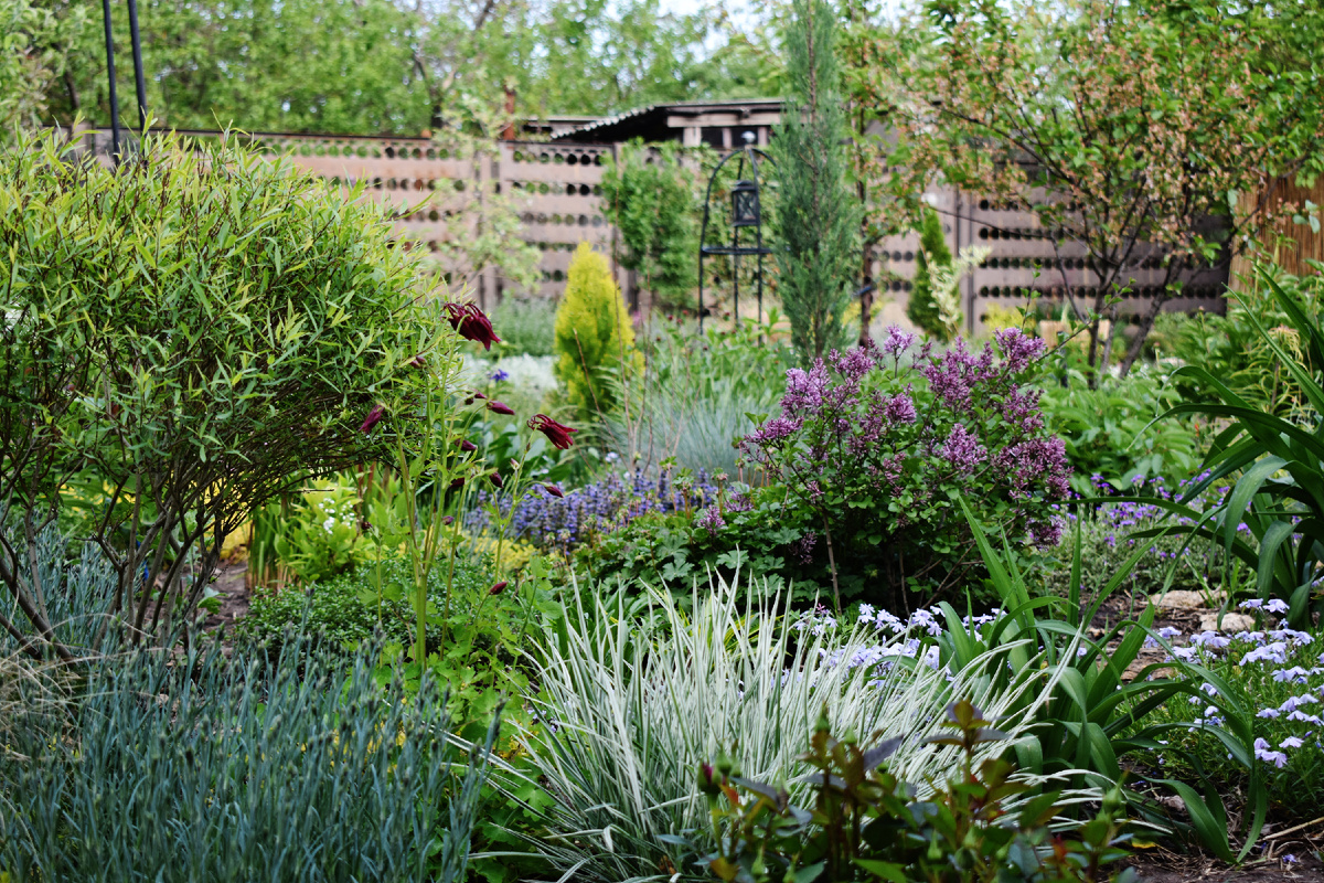 Сад в начале мая