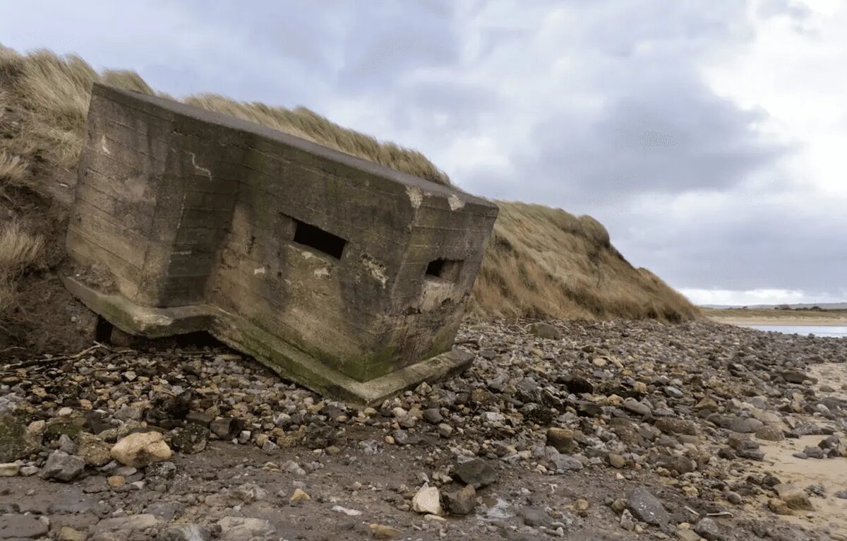 Фотограф: Damien Wright