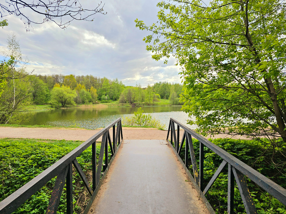Лебедянский пруд, фото автора