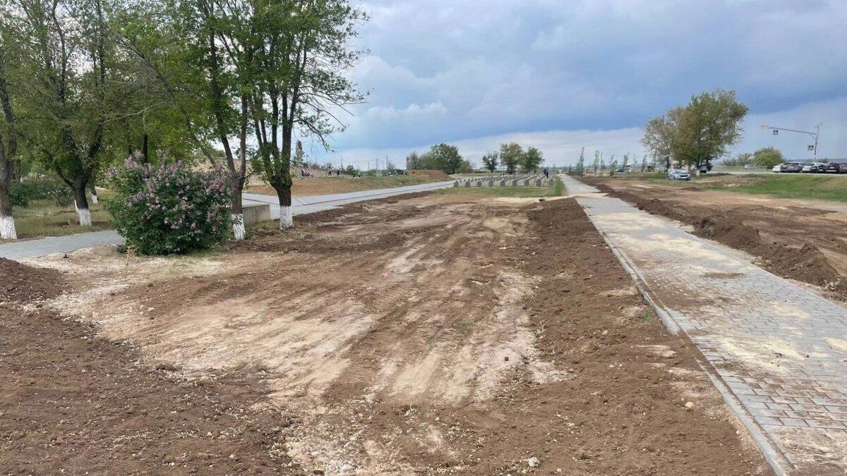     Автор: Антон Засимов Источник: novostivolgograda.ru