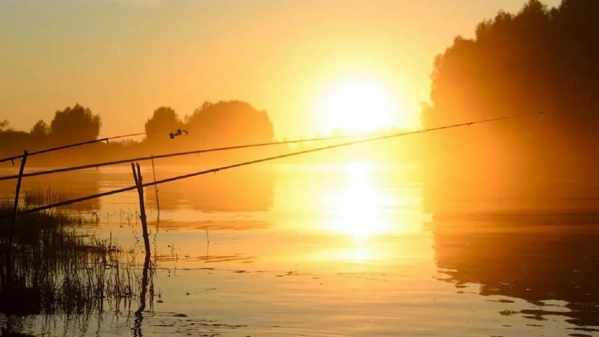 Утро на рыбалке💪