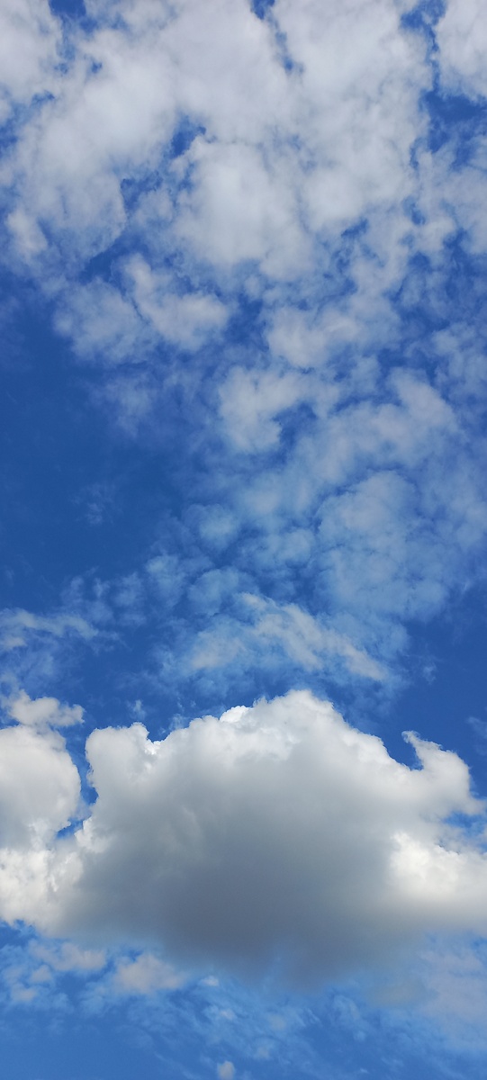 Фото личное