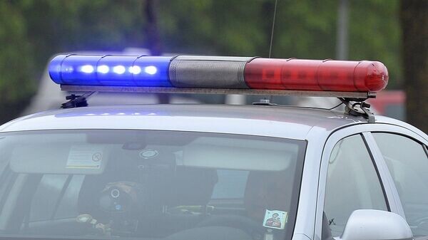    © Sputnik / Виктор Толочко