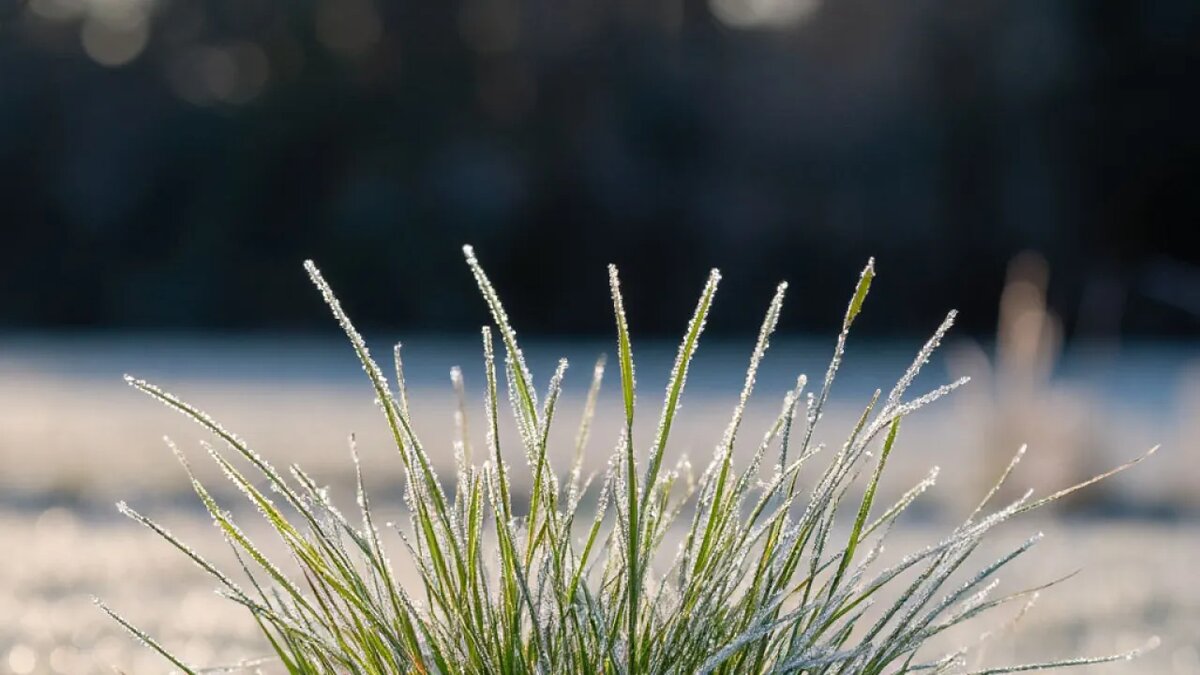    Сгенерировано ИИ